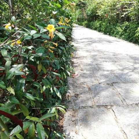 五一水库今日状况最新消息,五一水库开放时间