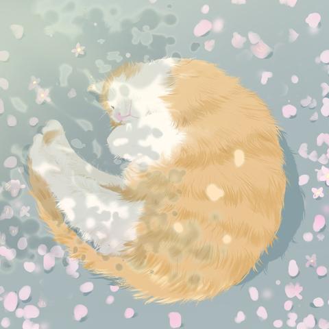 最新今日成长语录,今日成长文案短句