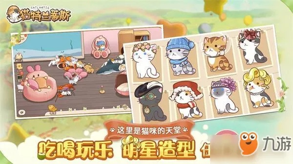 乐骑士手游跟猫咪激活码兑换查看,深层设计解析策略-WP_v7.546